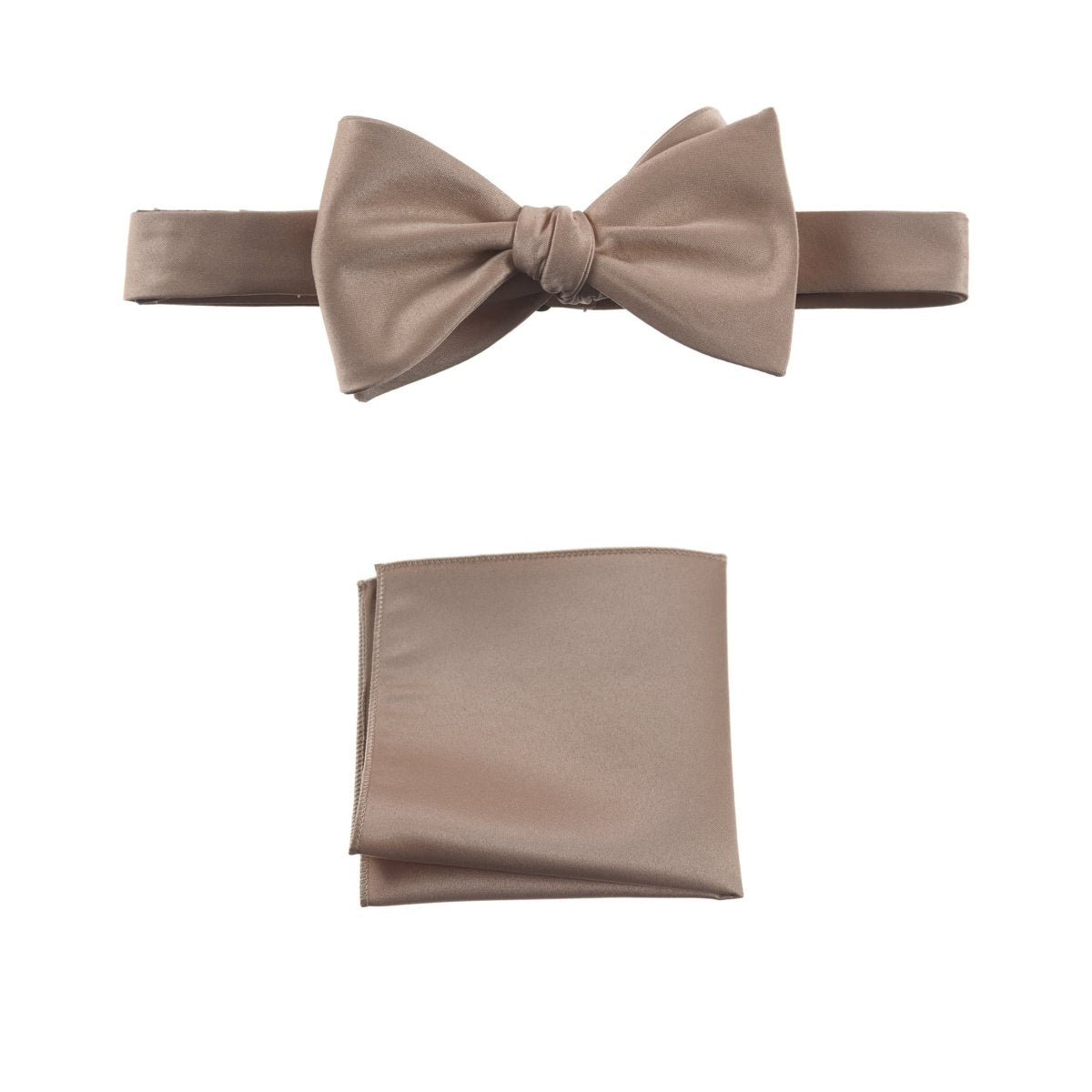 Selftie Bow Tie and Pocket Square Handkerchief Set 