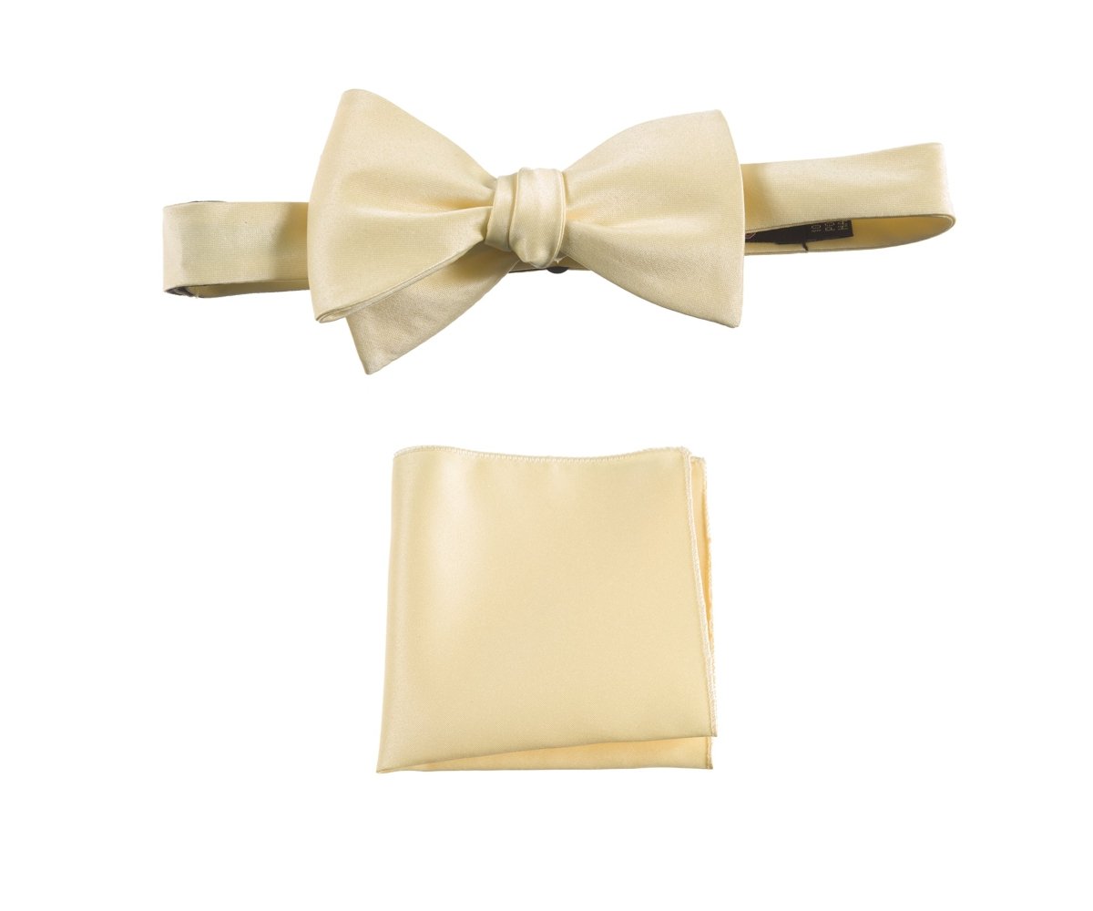 Selftie Bow Tie and Pocket Square Handkerchief Set 